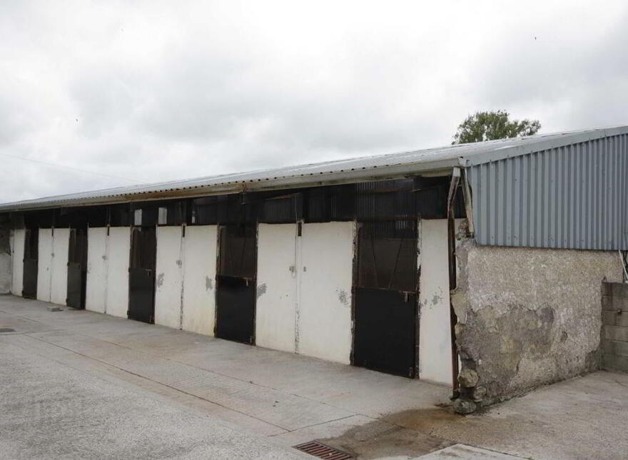 Ballagh Castle, Ballagh, Errill, Laois, R32WC96