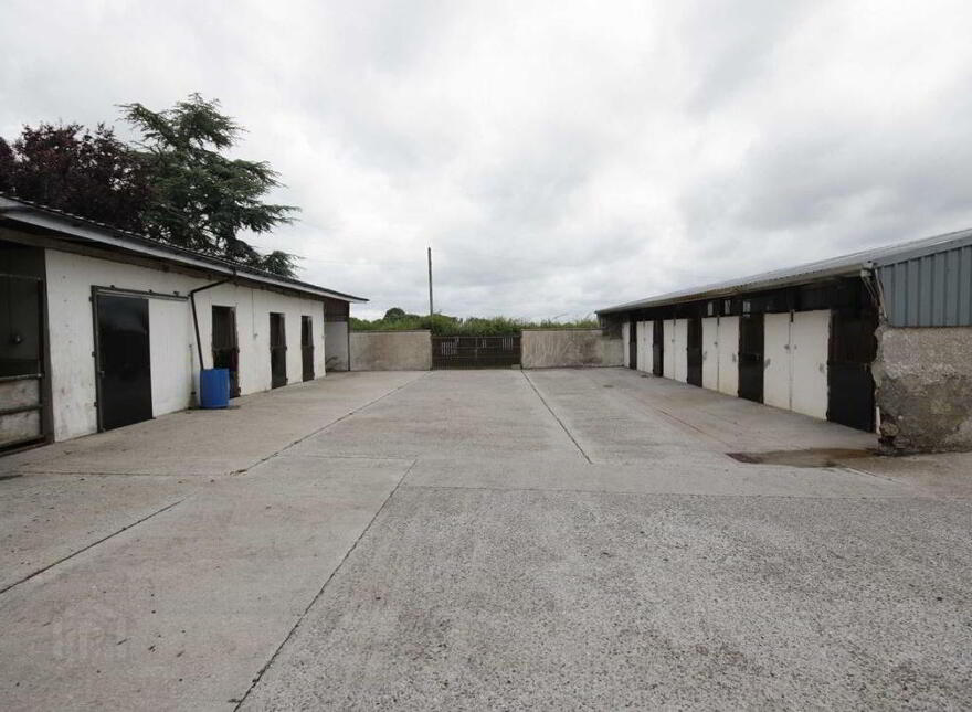 Ballagh Castle, Ballagh, Errill, Laois, R32WC96