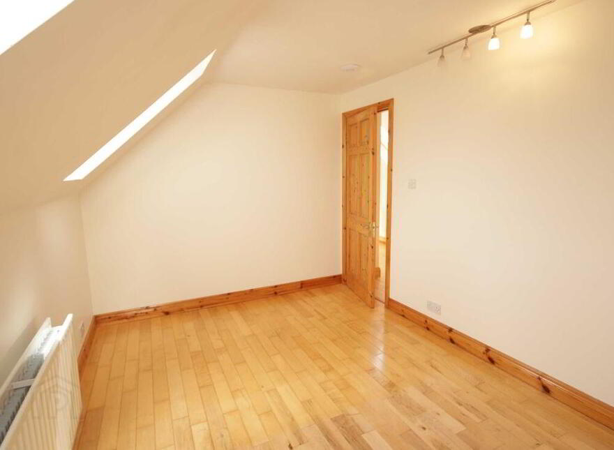 Ballagh Castle, Ballagh, Errill, Laois, R32WC96