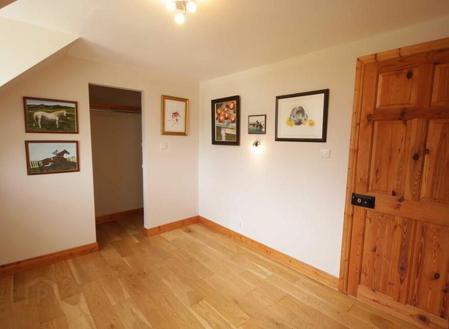 Ballagh Castle, Ballagh, Errill, Laois, R32WC96