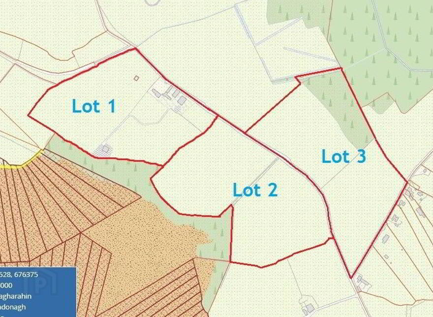 Ballagh Castle, Ballagh, Errill, Laois, R32WC96