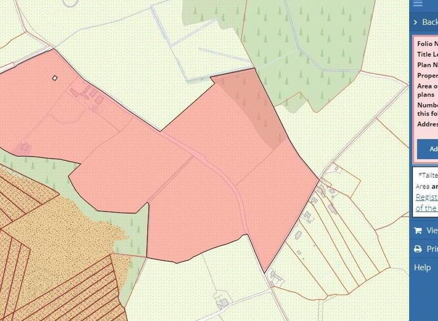 Ballagh Castle, Ballagh, Errill, Laois, R32WC96