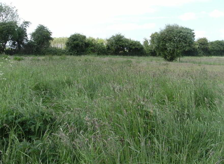 Castlefleming, Errill, Laois