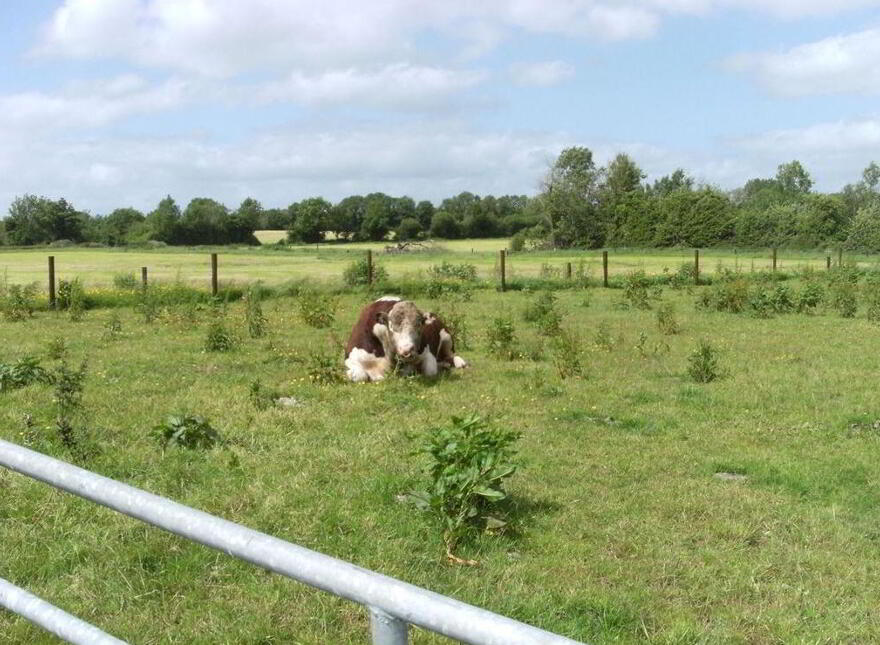 Monamonra, Errill, Laois