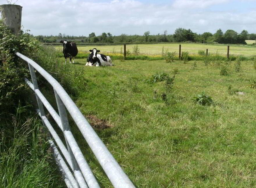 Monamonra, Errill, Laois