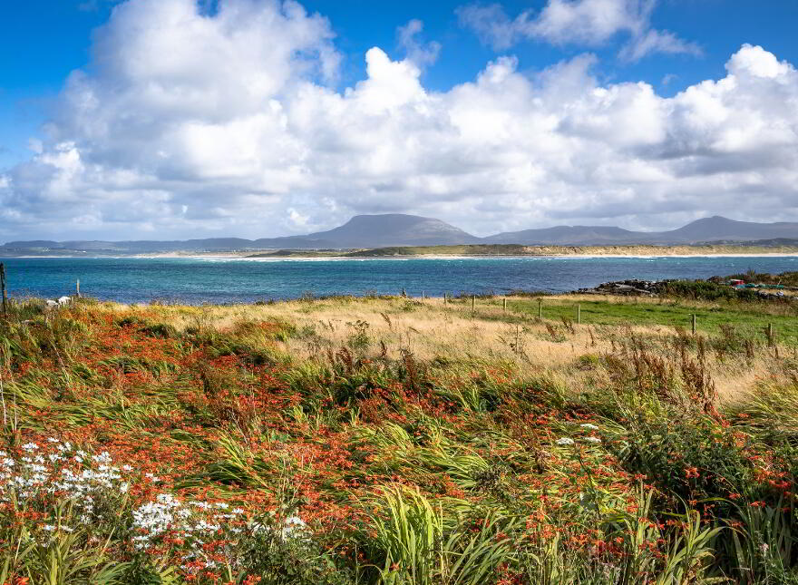 Site On Inishbofin Island, Gortahork