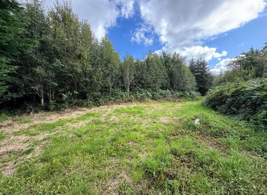 Kilmore, Foxford