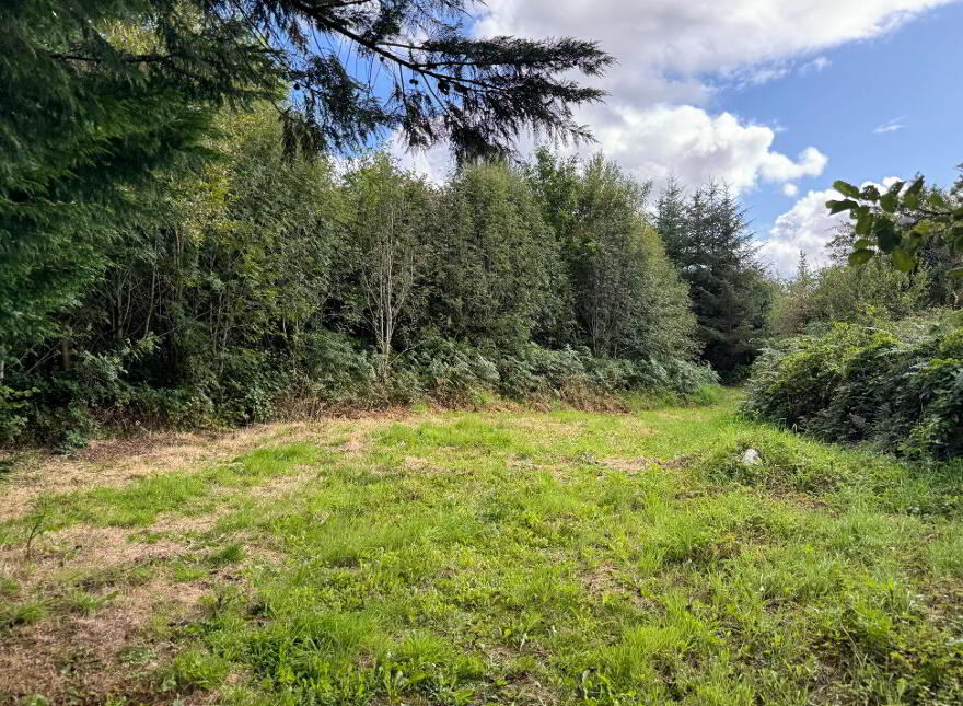 Kilmore, Foxford