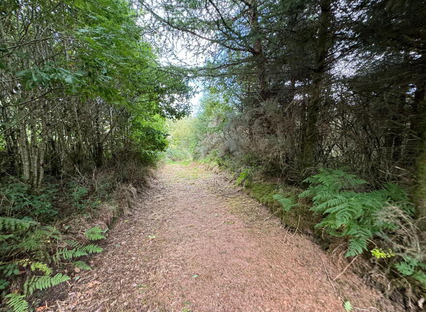 Kilmore, Foxford