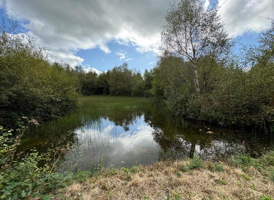 Kilmore, Foxford