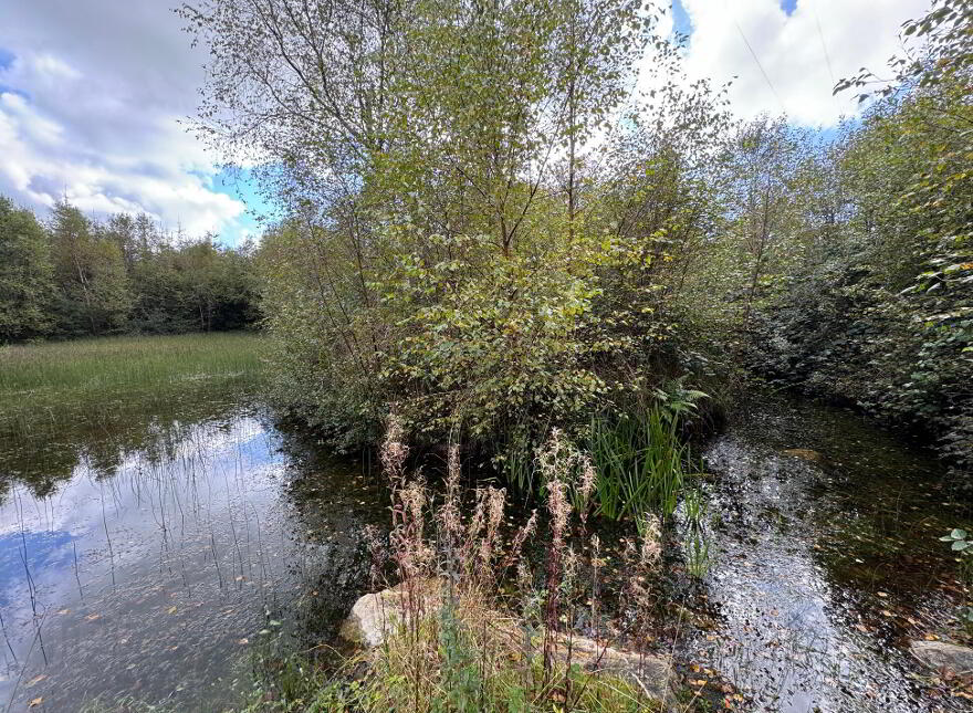 Kilmore, Foxford