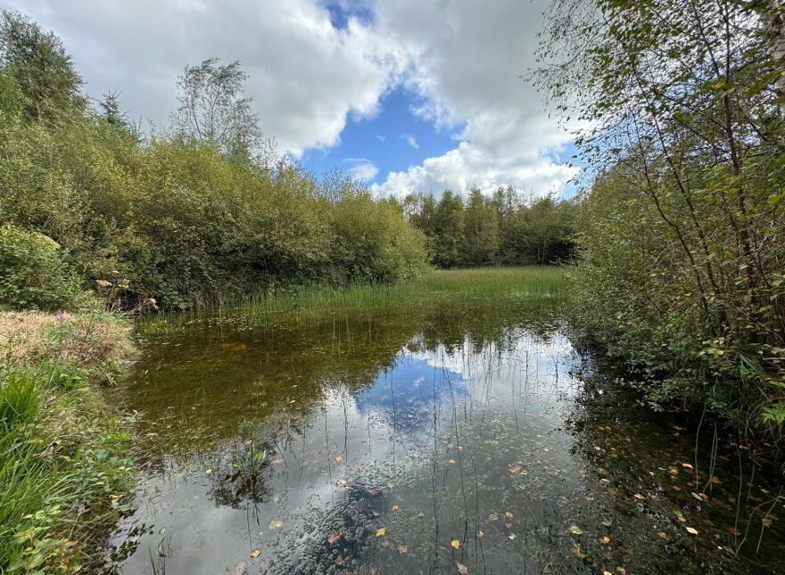 Kilmore, Foxford