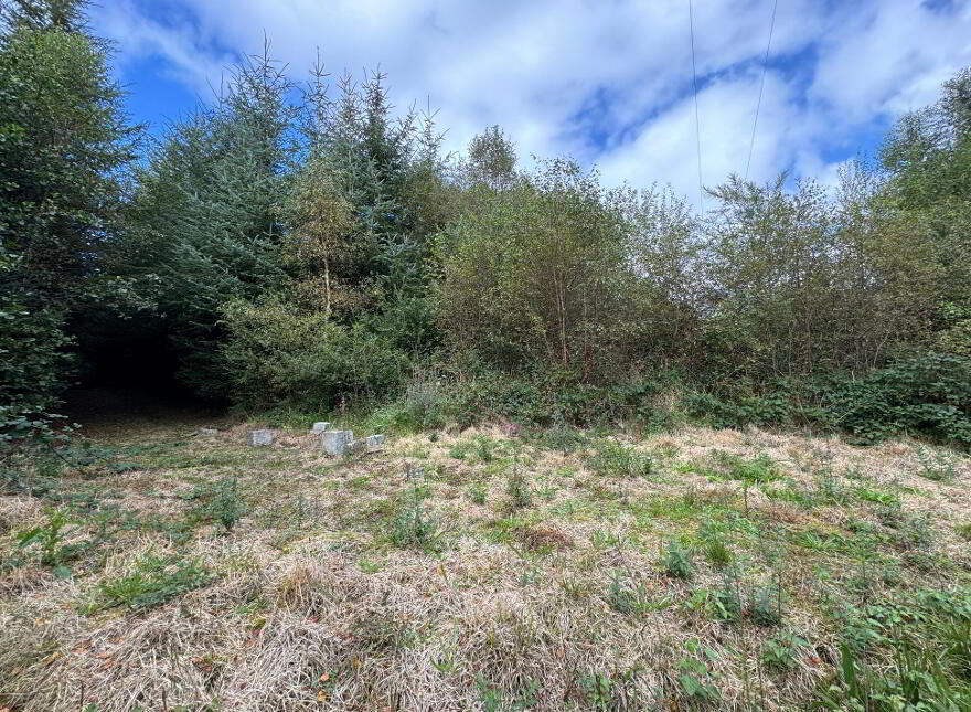 Kilmore, Foxford