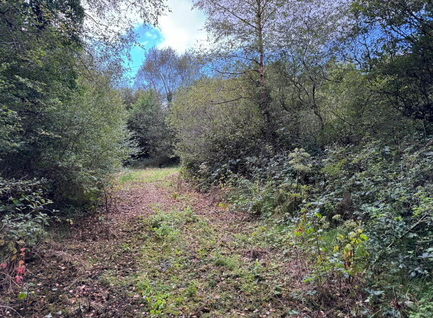 Kilmore, Foxford