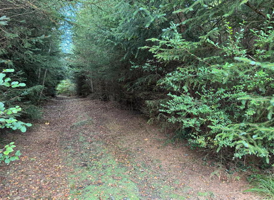 Kilmore, Foxford