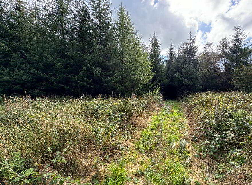 Kilmore, Foxford