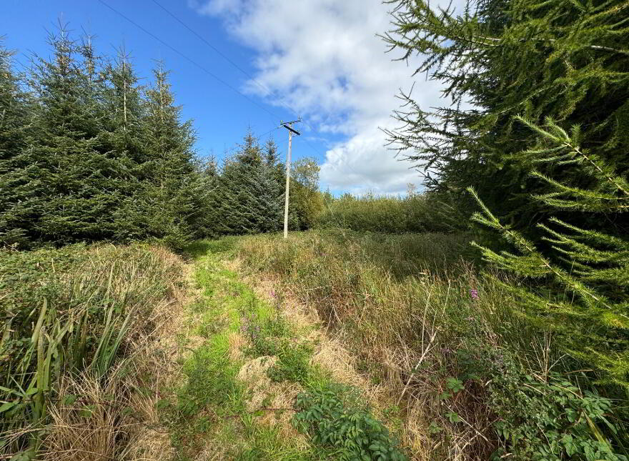 Kilmore, Foxford