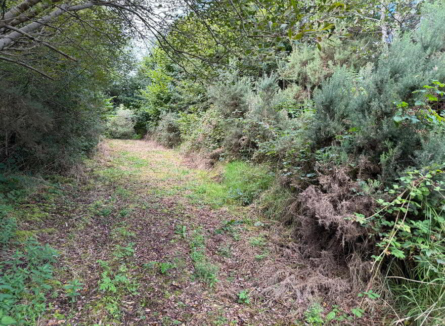 Kilmore, Foxford