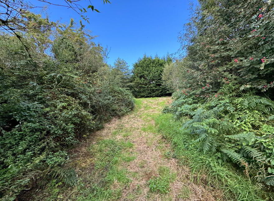 Kilmore, Foxford