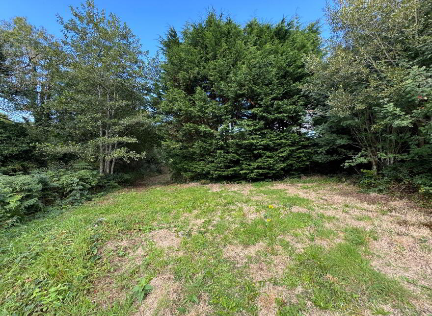 Kilmore, Foxford
