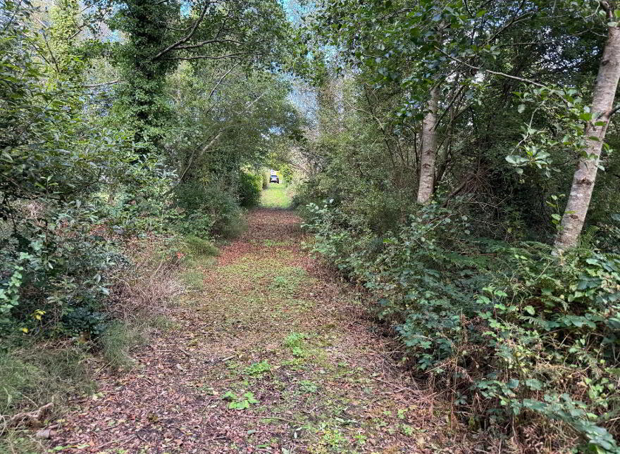 Kilmore, Foxford