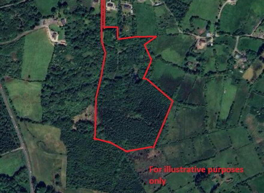Kilmore, Foxford