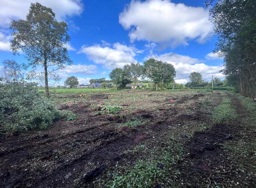 Site With FPP, 100m SW Of, 1 Drummond Road Donaghmore, Dungannon, BT70 3JZ