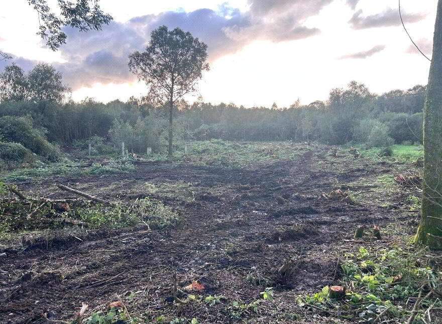 Site With FPP, 100m SW Of, 1 Drummond Road Donaghmore, Dungannon, BT70 3JZ