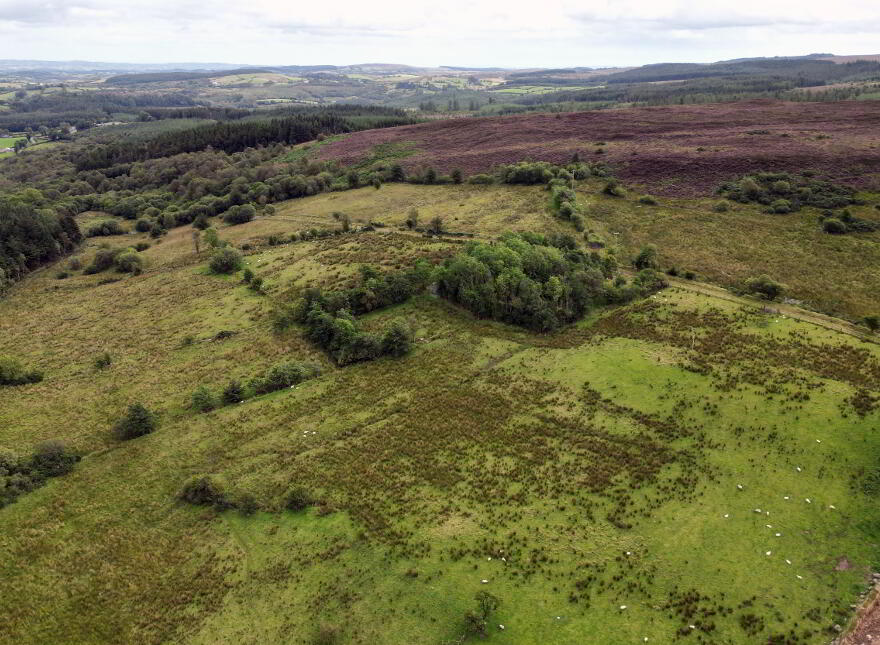 Lands At Golan, Slatmore Road, Clogher