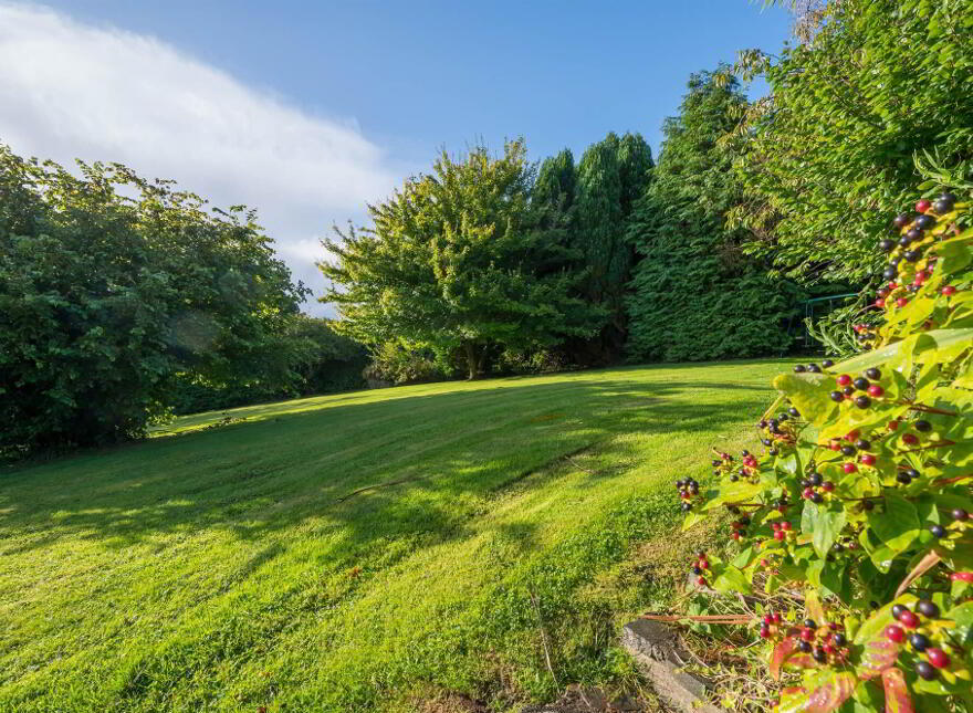 3 Island Road, Ballycarry, Carrickfergus, BT38 9HD