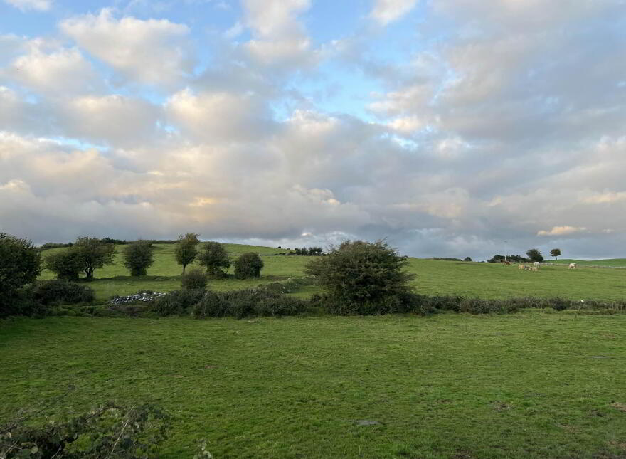 Carnbeg, Ballyhaunis photo