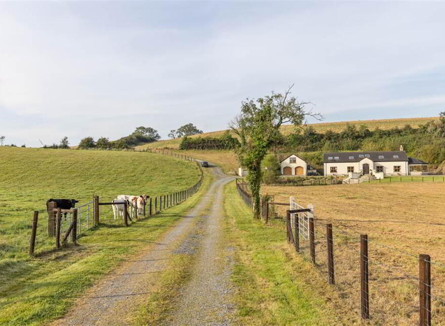 16 Buckshead Road, Downpatrick, BT30 8JB