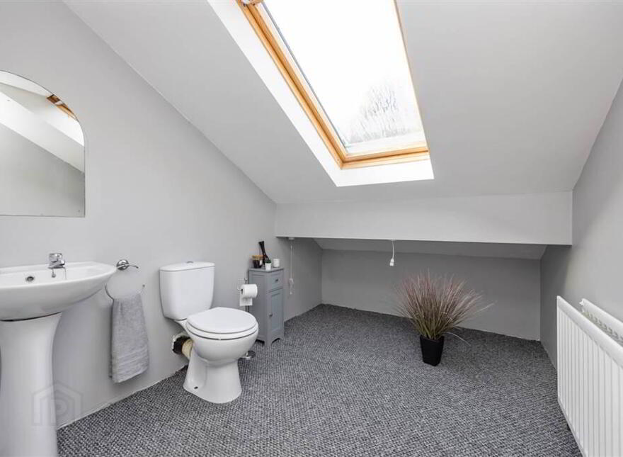 16 Buckshead Road, Downpatrick, BT30 8JB
