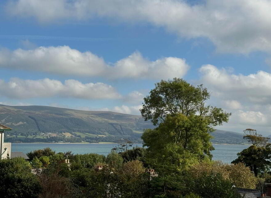 2 Castle Hill Mews, Carlingford, A91CC43