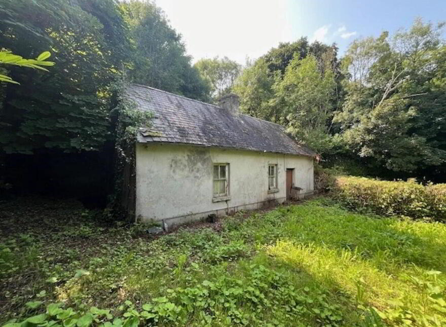 Kilgarvan, Coolbawn, Nenagh, E45HY92 photo