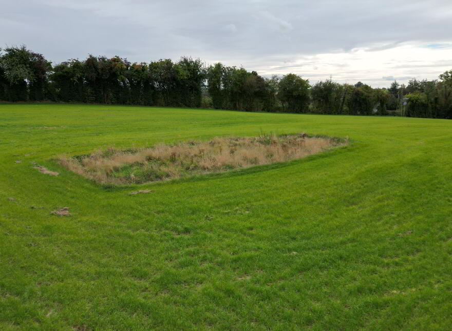 Site At, Derrygally Way, Moy, Dungannon, BT71 6LY