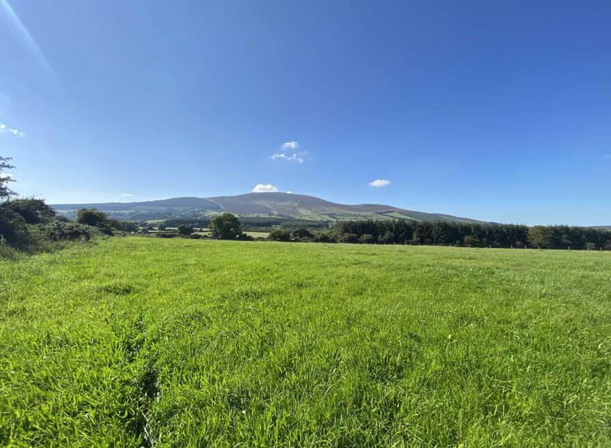 Site A Tullohea, Kilcash