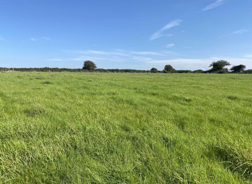 Site A Tullohea, Kilcash