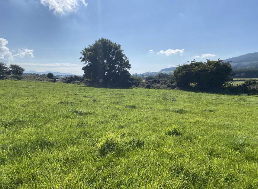 Site A Tullohea, Kilcash