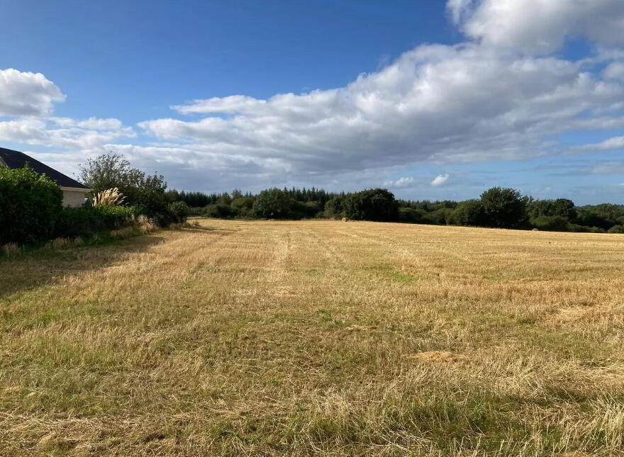 Hogan's Pass, Newtown, Nenagh photo