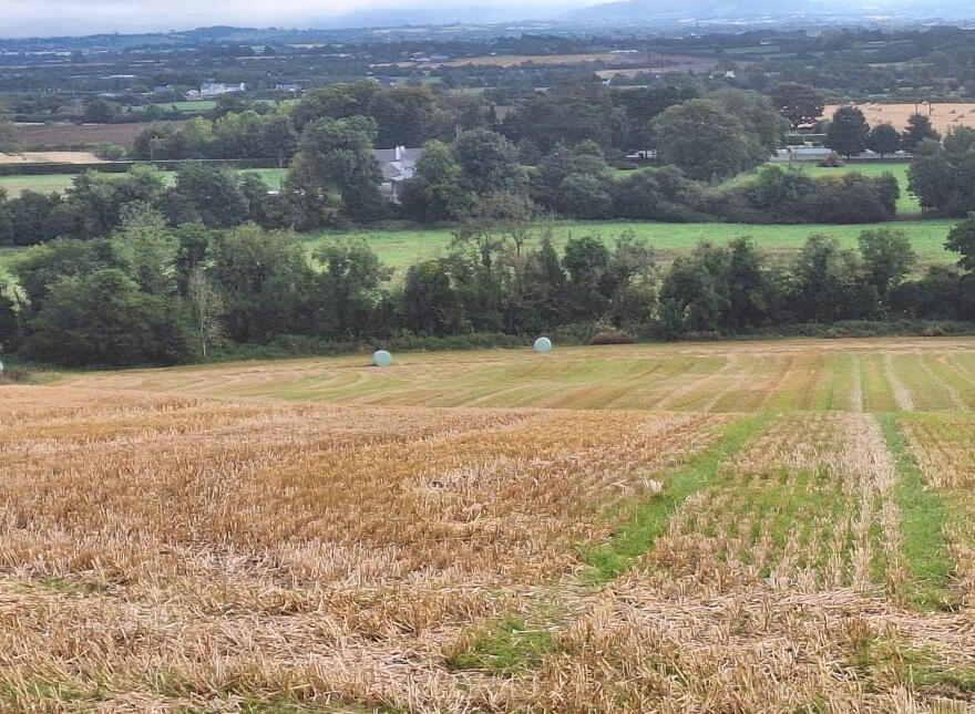 Graigalug, Graigue Na Spideog, Carlow, N/A photo