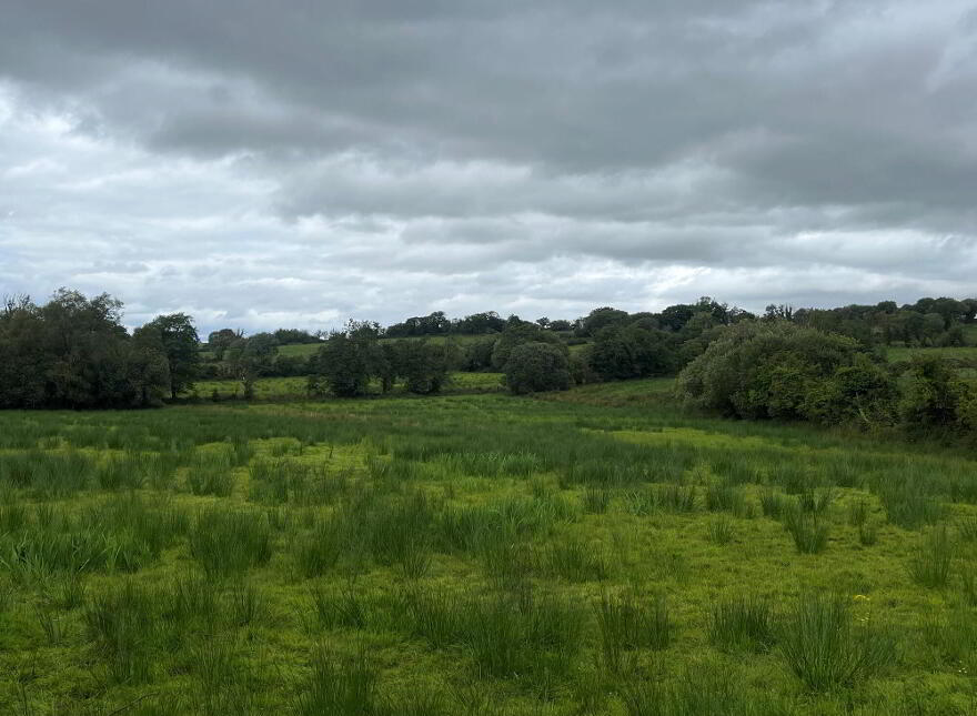 Slievebane Road, Irvinestown, BT94 1DH