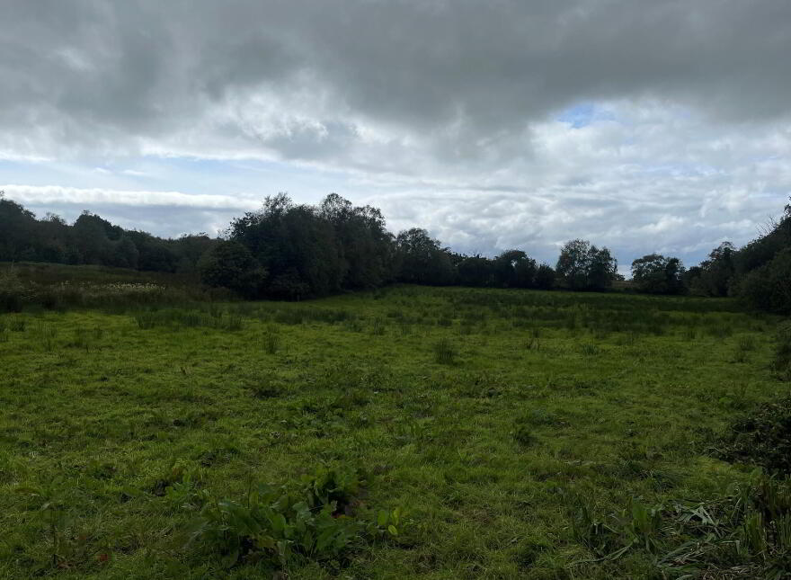 Slievebane Road, Irvinestown, BT94 1DH