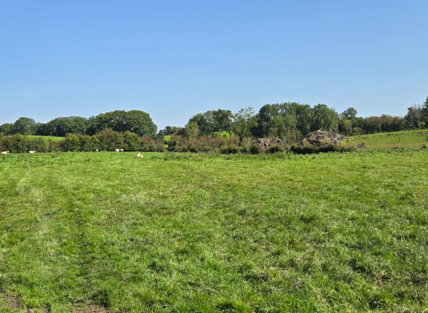 Prime Agricultural Lands, Dromore Road, Fintona, Omagh, BT78 2DJ photo