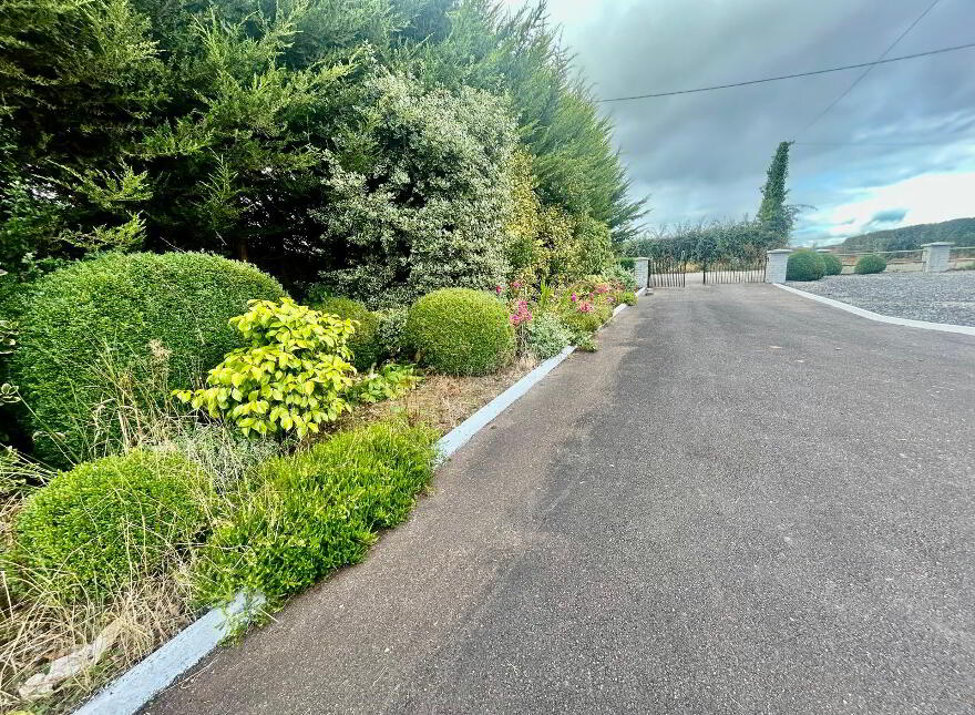 Knockane, Ballyclough, P51X984