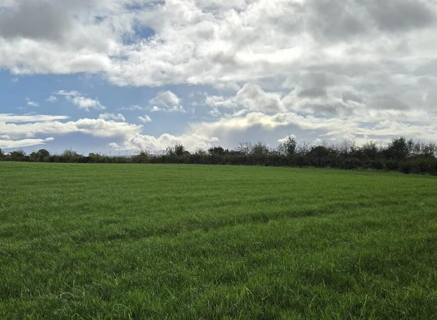 Very Desirable Farm Of Agricultural Land, Carnalea Road, Fintona, Omagh, BT78 2JD photo