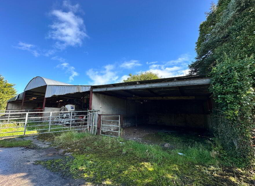 Kiltown, Castlecomer, R95CDW2