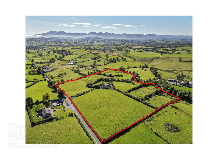 46 Dromara Road, Ballyward, Castlewellan, BT31 9UF photo