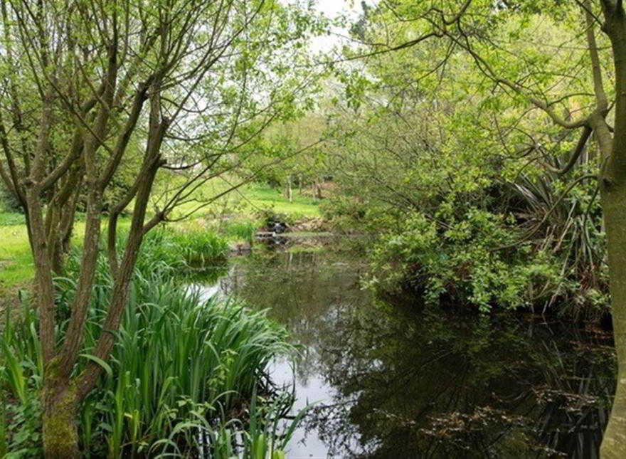 Riada's Rock, 36 Cargagh Road, Crossgar, BT30 9AG