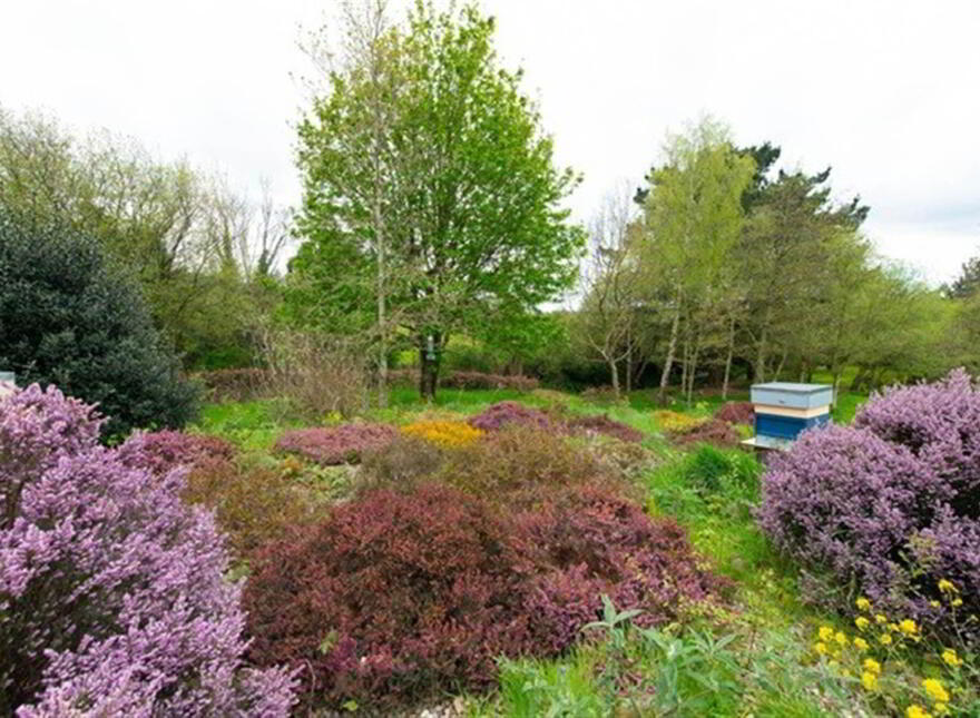 Riada's Rock, 36 Cargagh Road, Crossgar, BT30 9AG